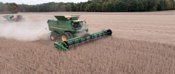 BTG Trading: Como 2023 Gerou Mais de 10 Milhões de