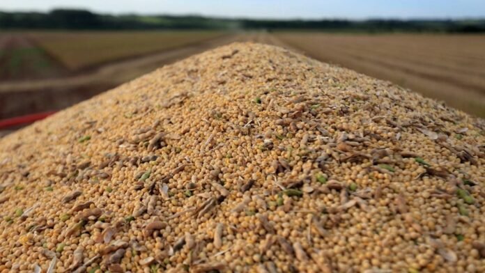 USDA Folheia o Cenário: O que a Redução nas Safras