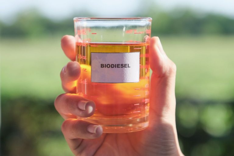 Biodiesel