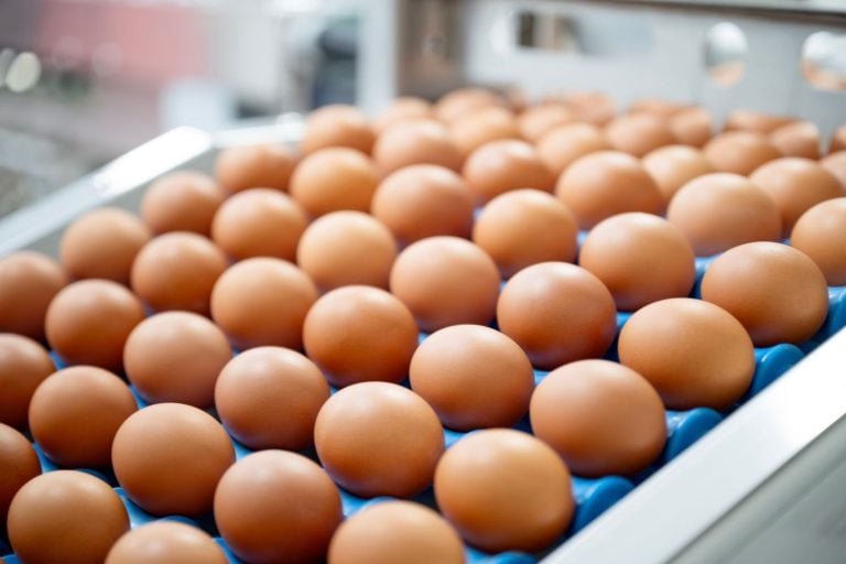 Ovos: Uma Questão de Abastecimento