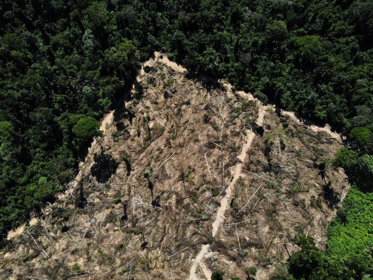 Área desmatada na floresta amazônica