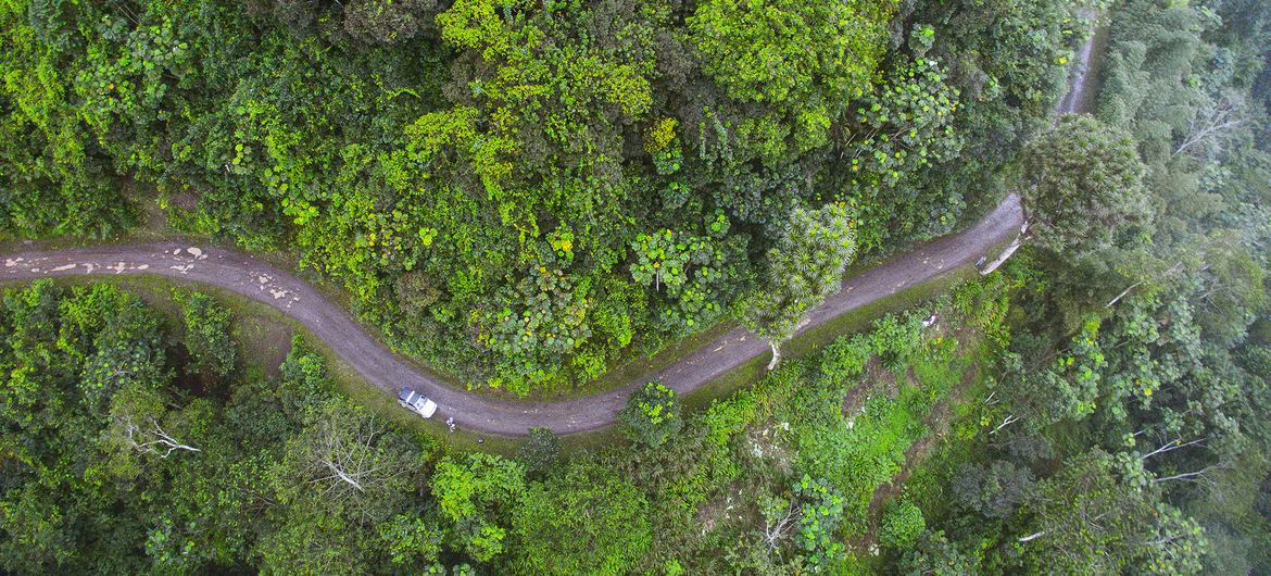 A bacia do Rio Provaz é uma importante fonte de água na cidade de Neves, em São Tomé e Príncipe A bacia do Rio Provaz na cidade de Neves
