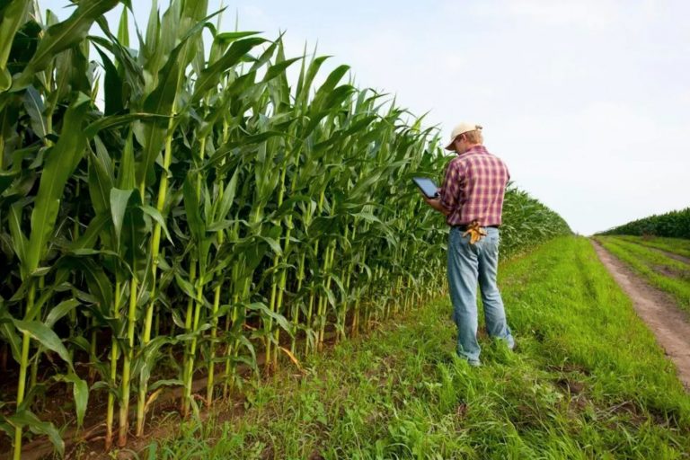 Imagem sobre Agricultura de Precisão