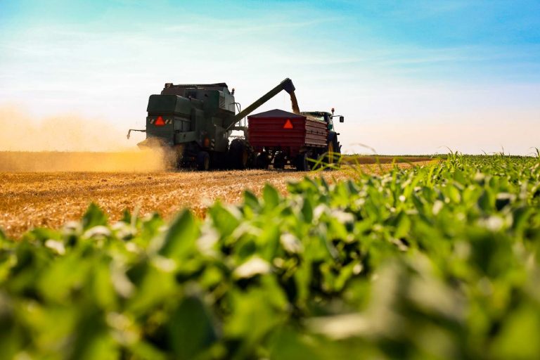 Tecnologia agrícola brasileira na África