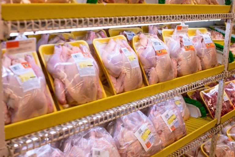O Brasil é o maior exportador de carne de frango do mundo