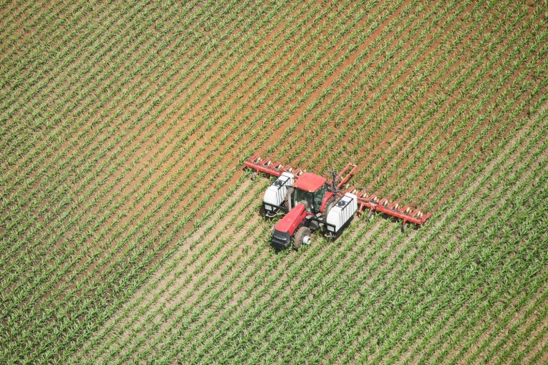 Produção de grãos pode ser afetada pela falta de insumos
