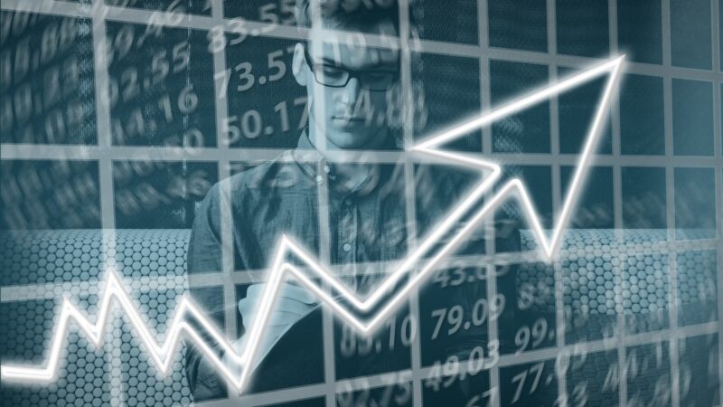 RVBI11: fundo imobiliário dobra faturamento e paga dividendos de 12,3%