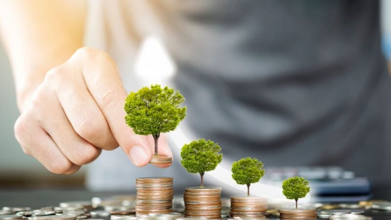 ALZR11 salta 8% nos lucros, para R$ 10,8 milhões; veja o que aconteceu