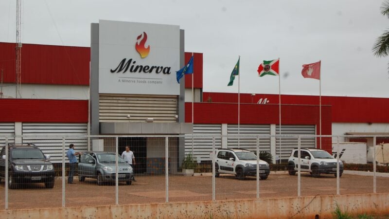 Minerva (BEEF3) vira Top Pick da XP e tem recomendação elevada pelo BofA