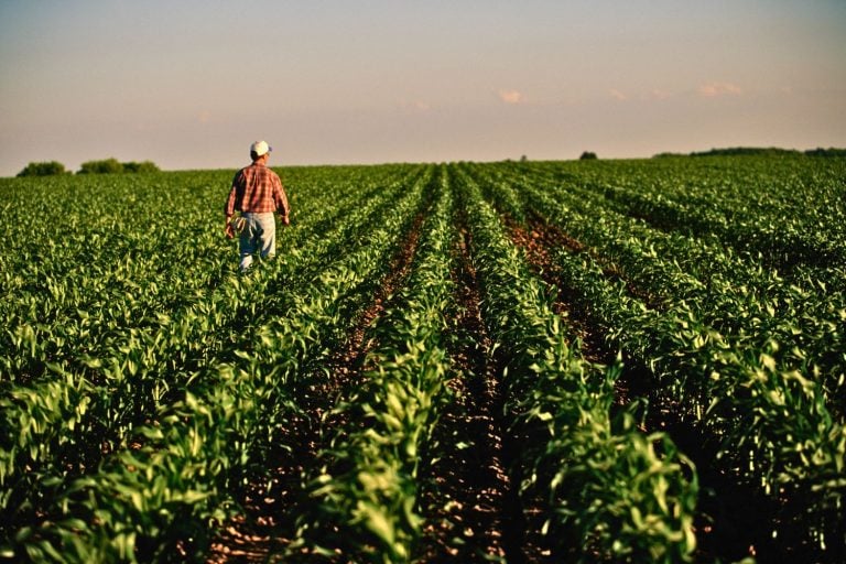 Imagem de destaque sobre o agronegócio no Brasil