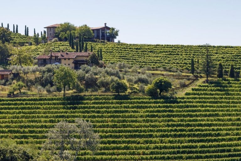 A vinícola Collavini está localizada na região de Friuli, no nordeste da Itália.