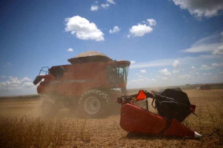 Campo de soja em Luziânia, no estado de Goiás