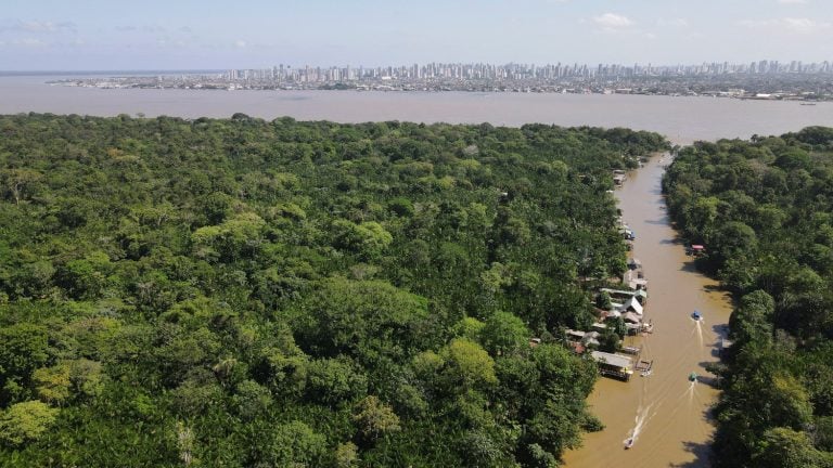 Floresta Amazônica na cidade de Belém, no Pará