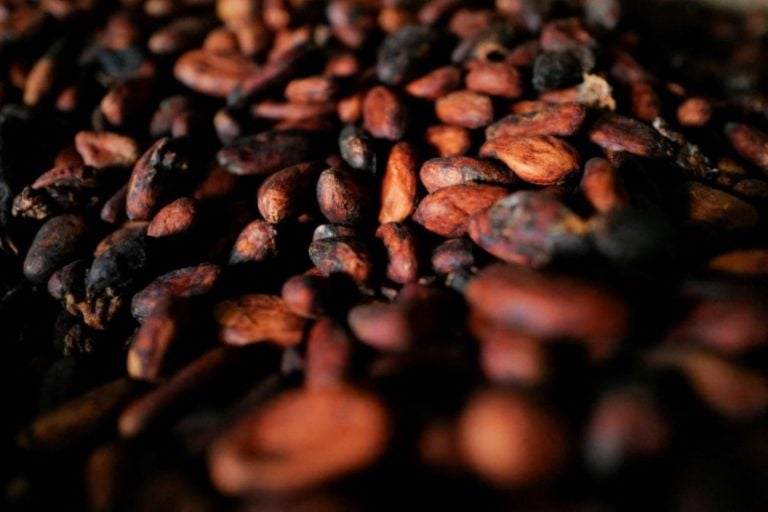 Cacau Pressionado por Oferta Abundante, Enquanto Arábica Ganha Impulso com Risco Climático