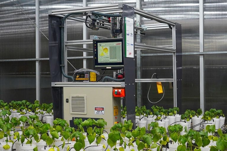 Robô LumiBot da Embrapa, na unidade em São Carlos (SP)