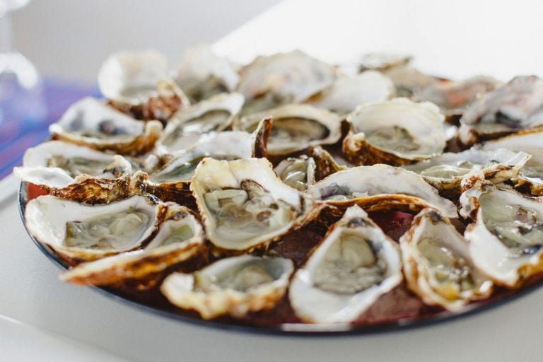 Cultivo de Ostras em Cabaraquara, no Paraná, Conquista Selo de Indicação Geográfica