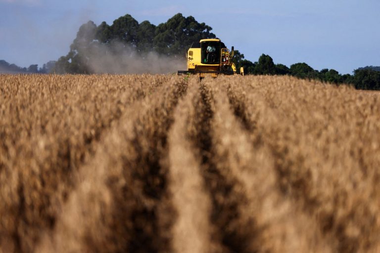 Colheita de soja no Rio Grande do Sul
