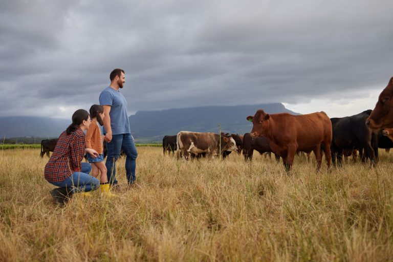 Família de produtores na área de pasto com o rebanho da fazenda