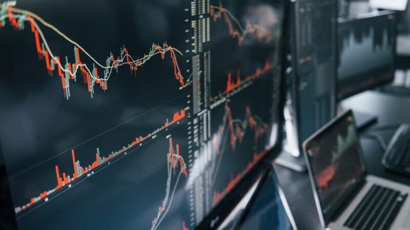 Falta de informação ao investir custa caro; veja como não perder dinheiro
