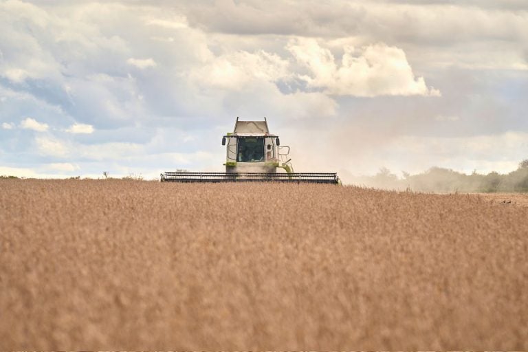 Colheita de soja em Villaguay, na província de Entre Rios, na Argentina