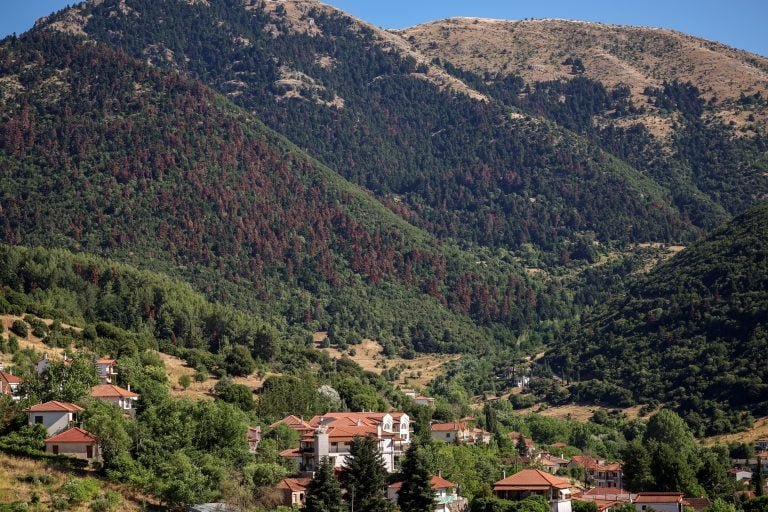 Florestas do norte concentram metade do carbono global