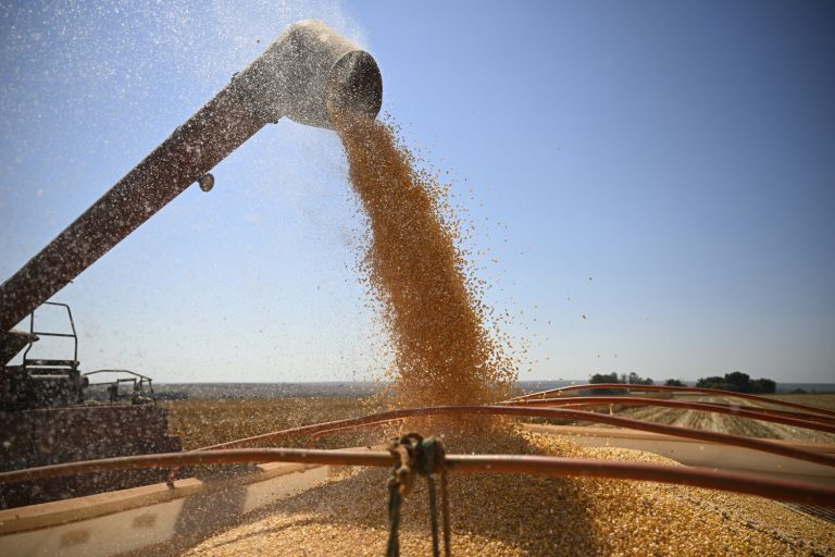 Brasil Registra 1ª Entrega Física de Derivativo de Grãos em Mais de 15 Anos