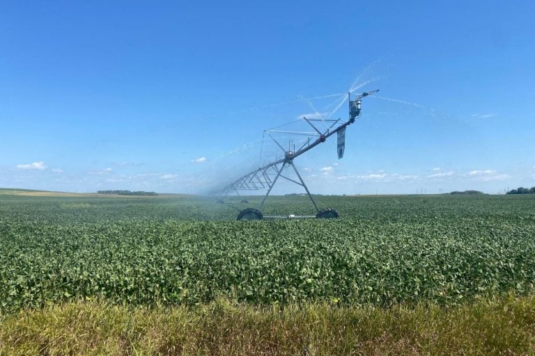 Desenvolvimento no comércio de soja entre EUA e China