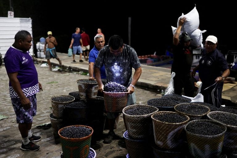 Com Açaí e Café, Projeto em Belém Testa Caminho Livre de Desmatamento