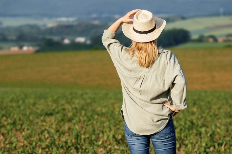 O Aumento da Complexidade e da Abrangência da Gestão do Agronegócio
