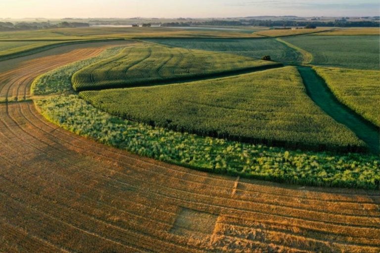 Fazenda diversificada com vegetação nativa em Rowley, Iowa