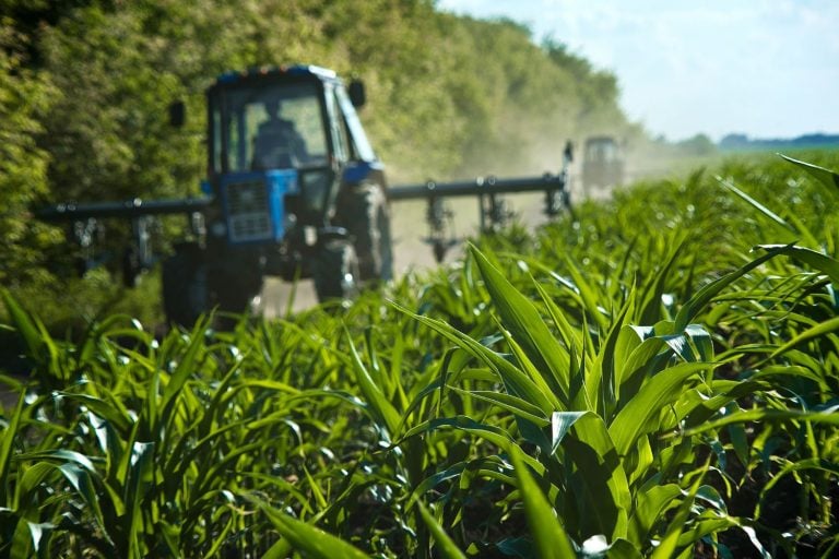 Mercado de Biodefensivos no Brasil Cresce 18% na Safra 2024/25 e Chega a R$ 4,35 Bi