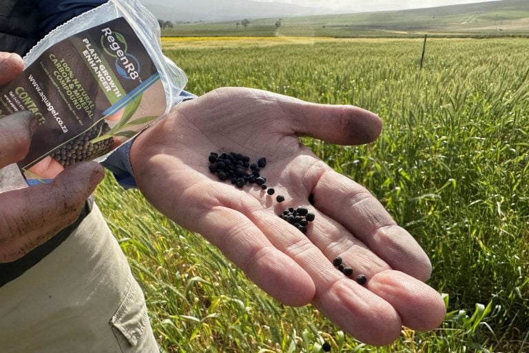 Amostras de rocha vulcânica e biocarvão