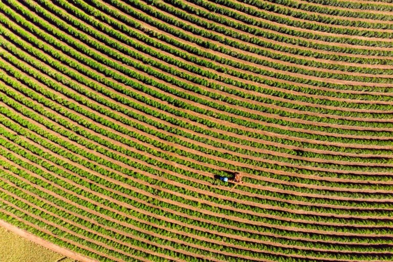 R$ 1 Bi para Erguer a Maior Fazenda de Café Arábica Irrigado do Mundo em Minas