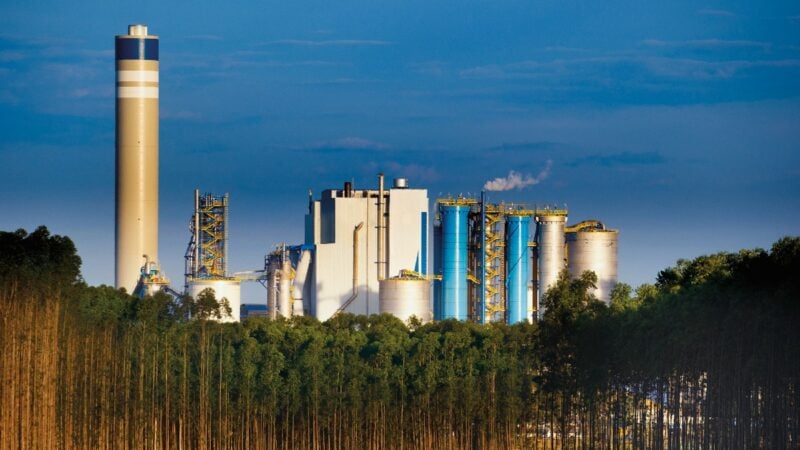 Suzano (SUZB3) Foto: Divulgação/Ehder de Souza