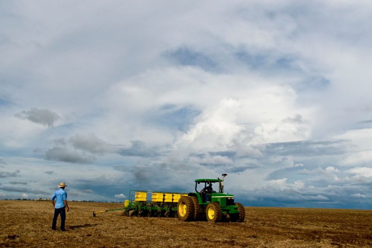 Plantio de Soja no Rio Grande do Sul