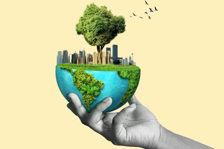 COP30, Seu Último Dia e a Auditoria Definitiva do Que É Inteligência Natural