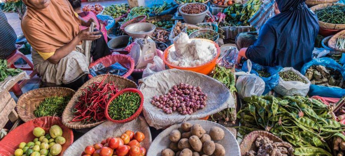 Imagens relacionadas ao Programa Mundial de Alimentos