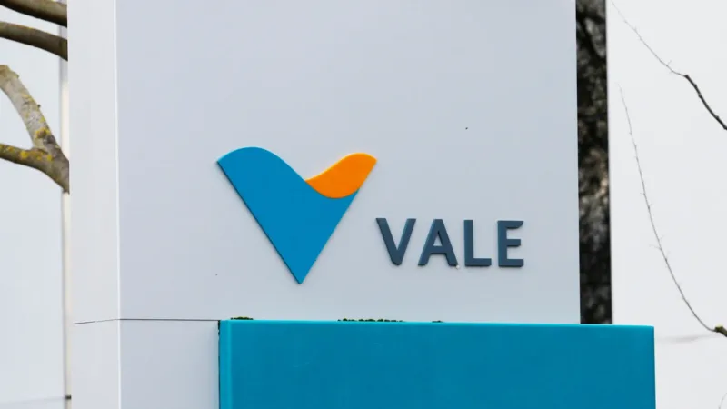 VALE3: Desempenho nos Últimos Anos