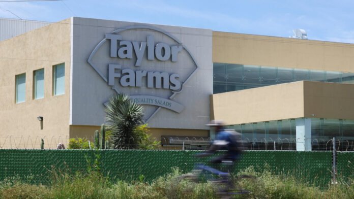 Alerta: Taylor Farms Retira Salsa e Guacamole do Mercado por