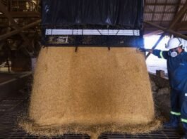 Cooperativas Transformam Fábrica de Soja no Paraná e Impulsionam a Intercooperação: Descubra Como!