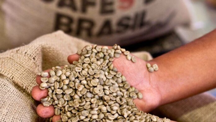 Crescimento Surpreendente: Exportação de Café Verde do Brasil Aumenta 8,7%