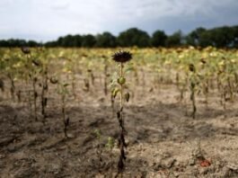 França Destina Milhões de Euros para Apoiar Agricultores em Crise Climática: Veja Como Isso Pode Mudar o Futuro da Agricultura!