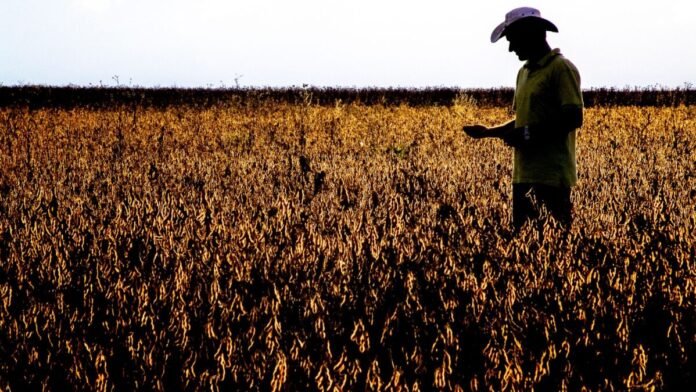 Recuperação Judicial no Agro: Aumenta 21,9% em Apenas Três Meses!