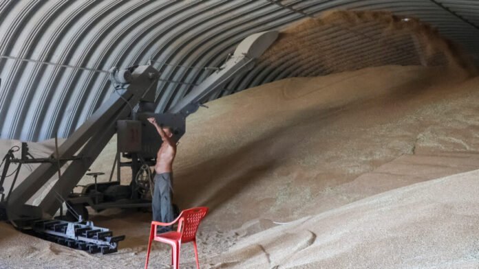 Ucrânia em Crise: Déficit de Armazenagem de Grãos Pode Alcançar
