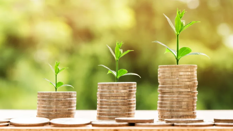 Fiagro conclui alocação da 2ª emissão com carrego médio de CDI + 5,1%; conheça o ROCA11