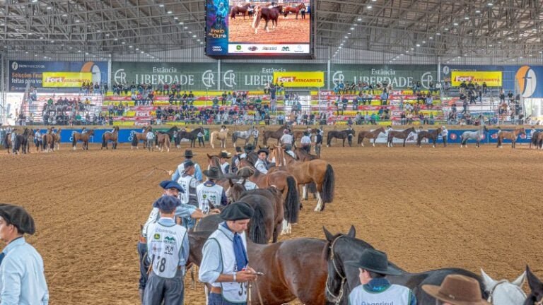 Pista de Julgamento da Raça Crioulo