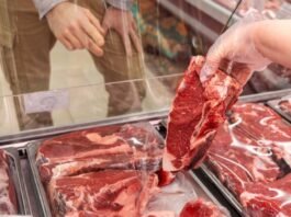 Impacto Global: UE Anuncia Suspensão das Importações de Carne do Brasil a partir de 3 de Setembro