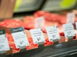 Importação de Carne nos EUA Aumenta e a Origem do Produto Ganha Destaque no Debate