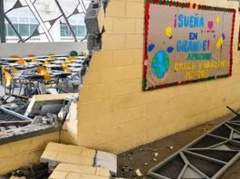 Educação Infantil Gratuita: A Nova Fronteira do Direito Global no Olho da ONU!