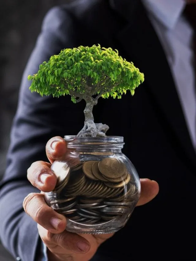 Renda fixa com IPCA + 7,95%: analistas apontam opções para investir em outubro